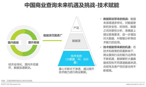 2021年中國商業查詢發展研究報告 穩健增長與創新應用并重