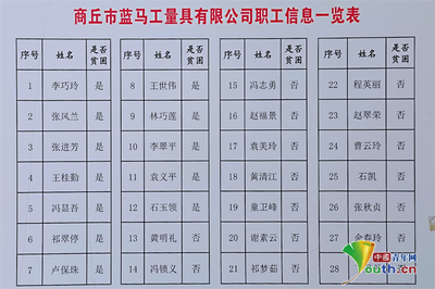 馮莊 工廠開在家里，產品賣向全球——商務信息咨詢驅動鄉村振興